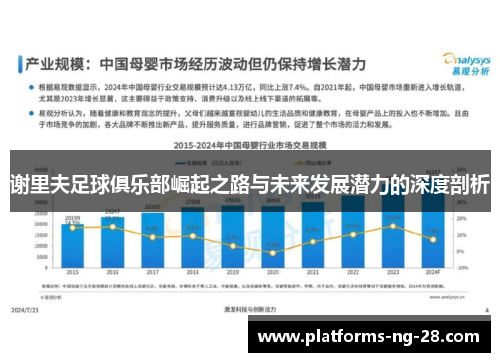 谢里夫足球俱乐部崛起之路与未来发展潜力的深度剖析
