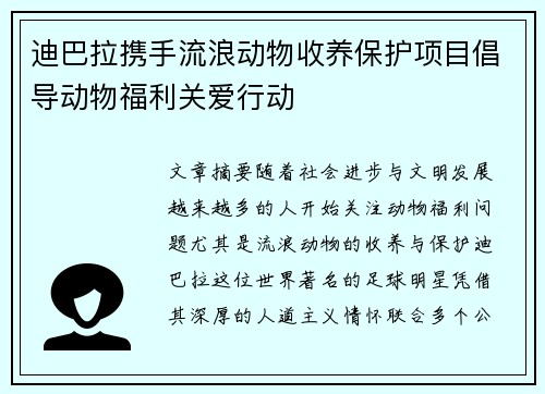 迪巴拉携手流浪动物收养保护项目倡导动物福利关爱行动