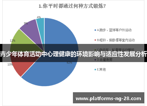 青少年体育活动中心理健康的环境影响与适应性发展分析