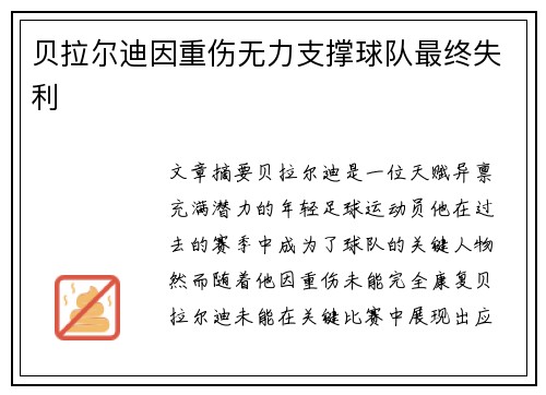 贝拉尔迪因重伤无力支撑球队最终失利